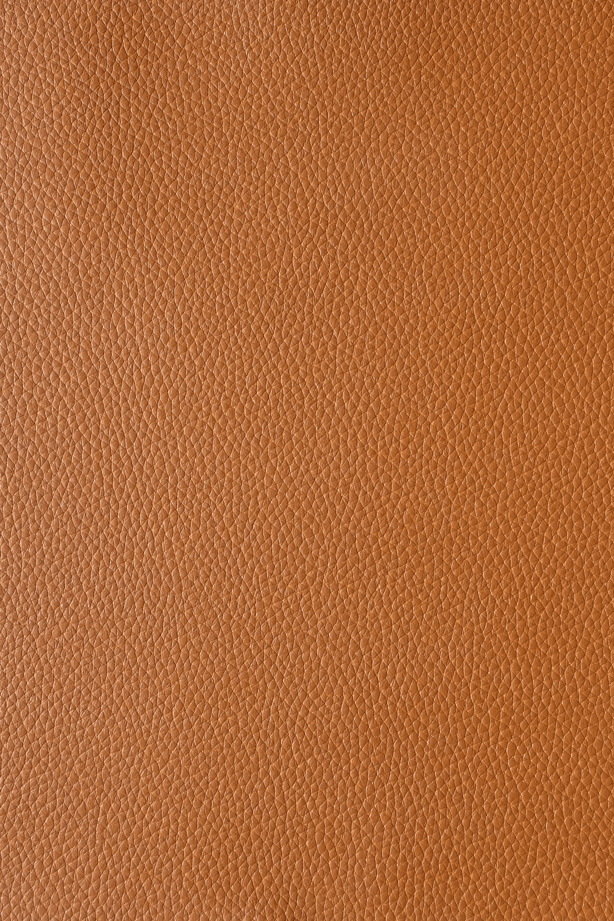 Azaleé Cognac