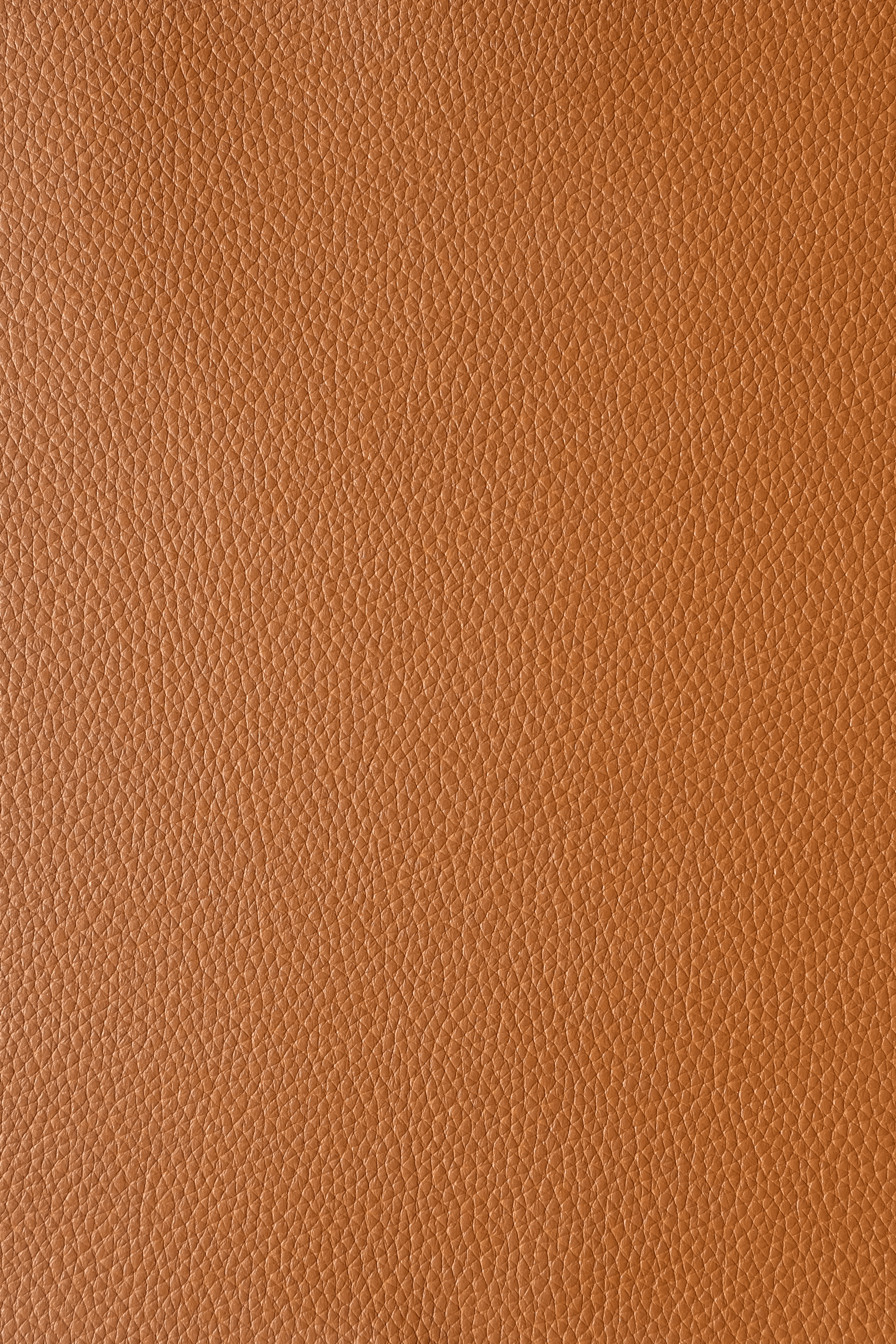 Azaleé Cognac